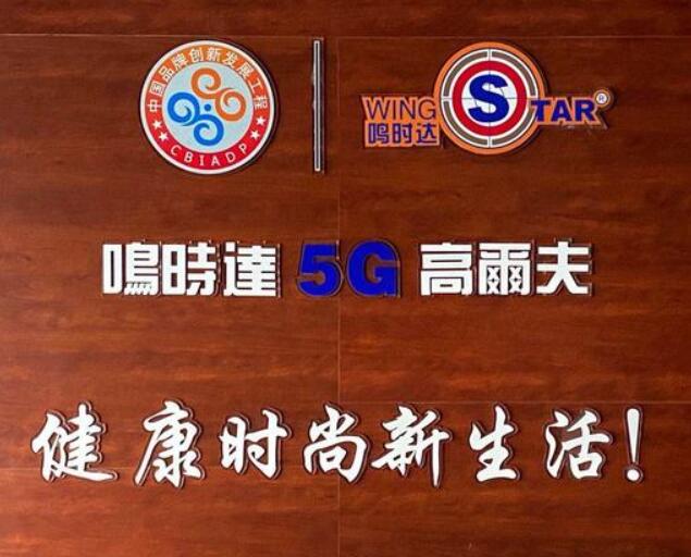 韓國原裝進口wingStar-WS5型模擬高爾夫